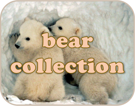 Bear Collection Hover
