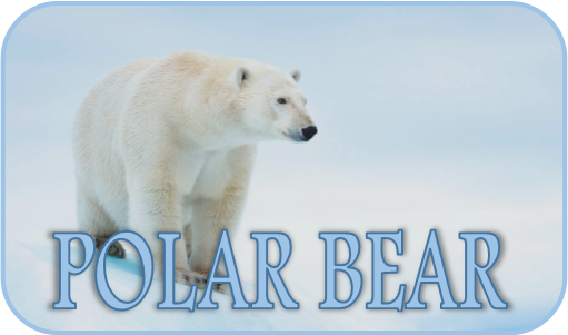 Polar Bear Shrine